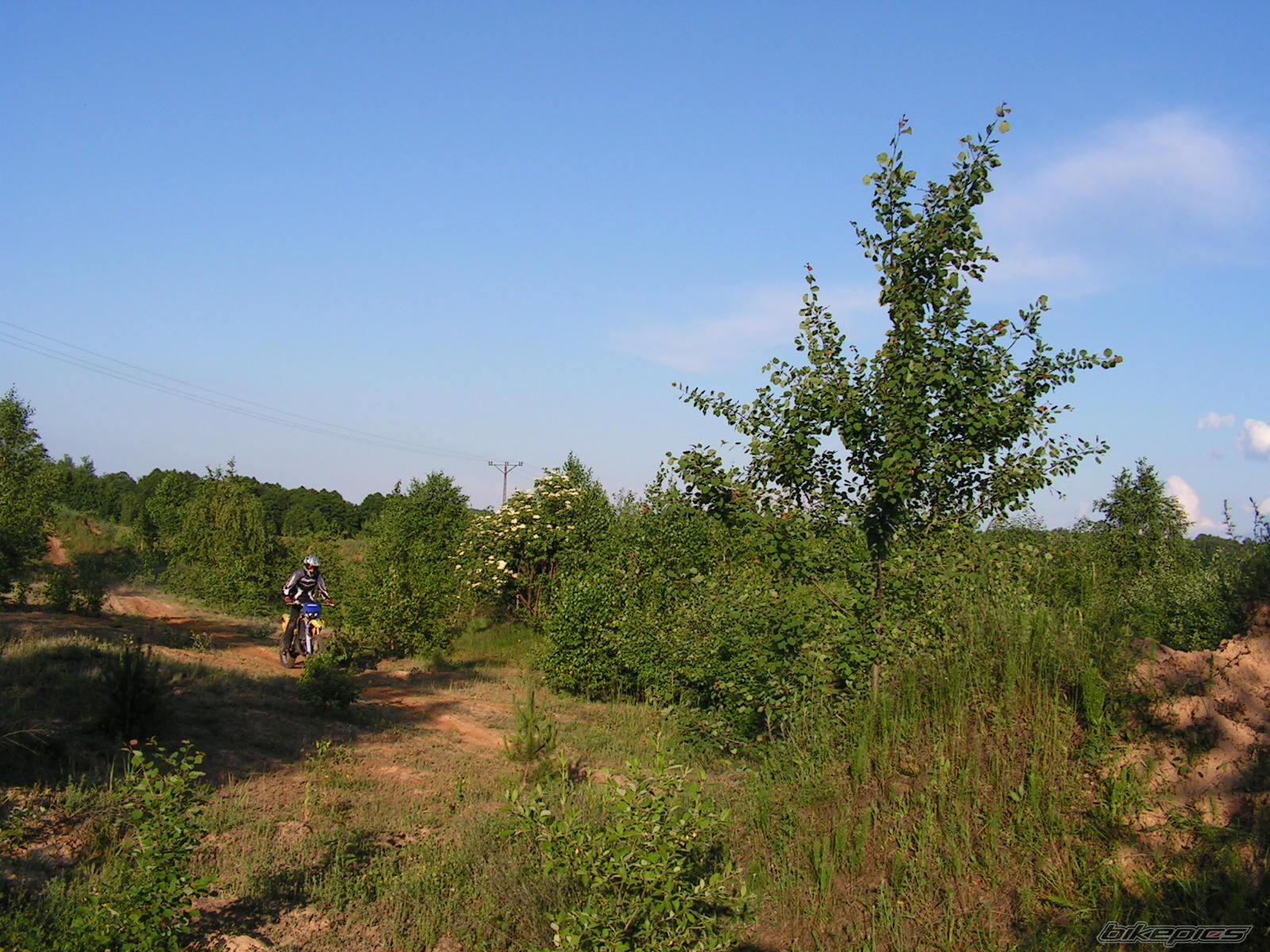 Photo 928625
