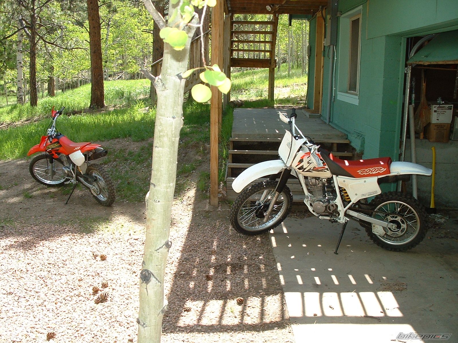 Photo 928922