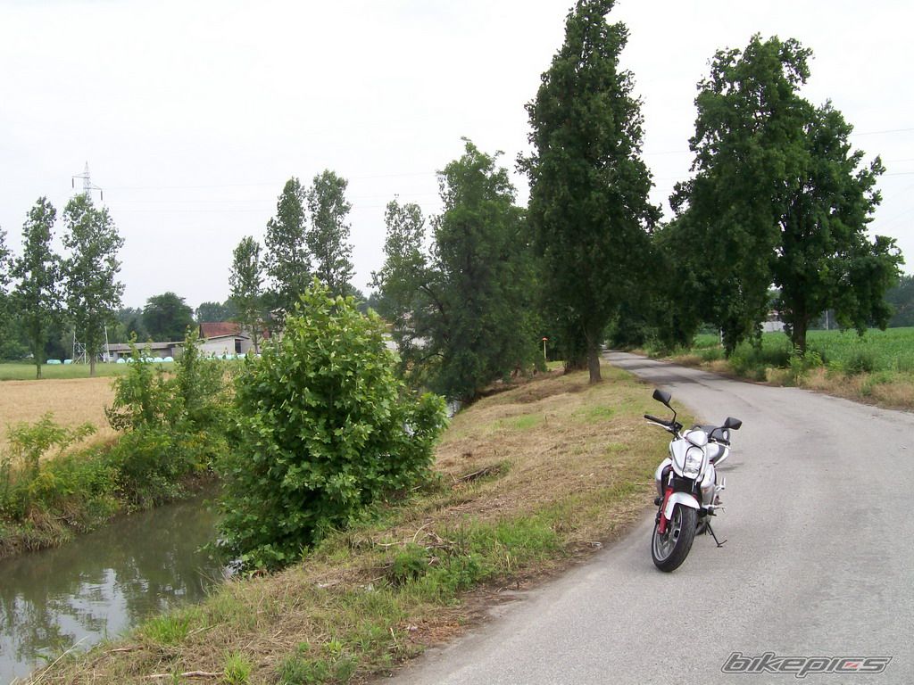 Photo 929075