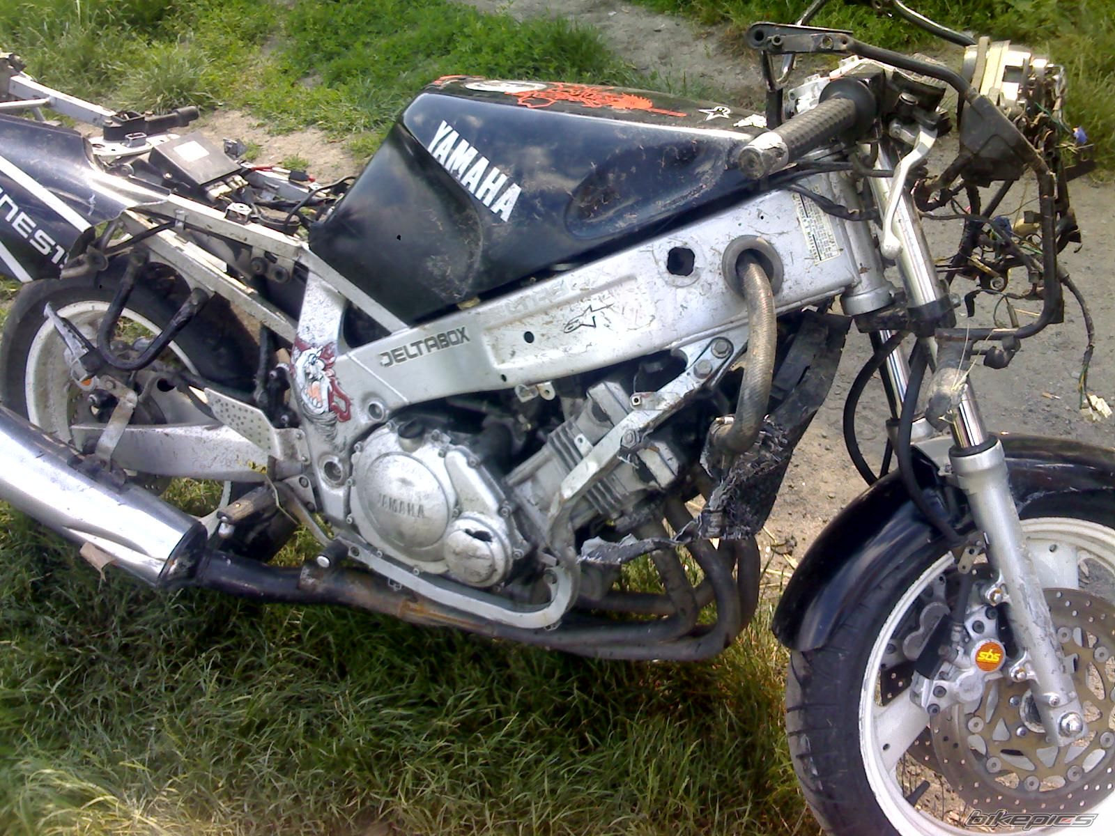 Photo 929244