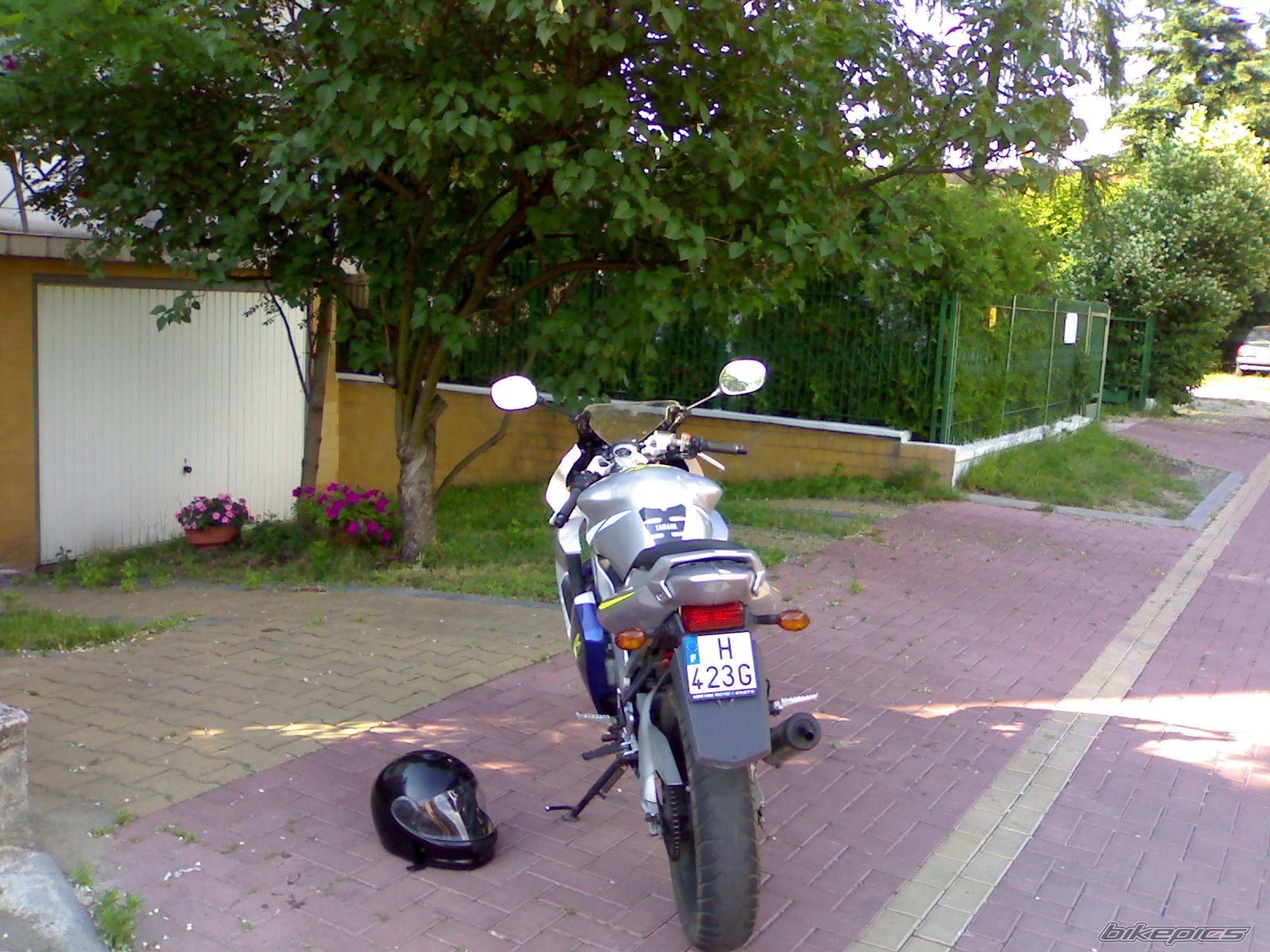 Photo 929278