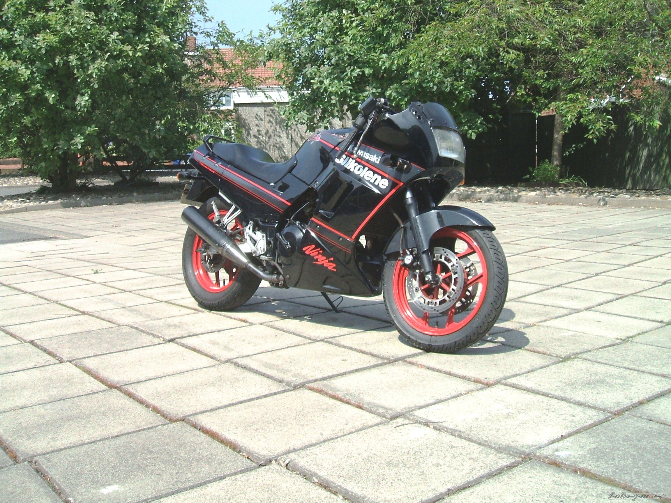 Photo 929296