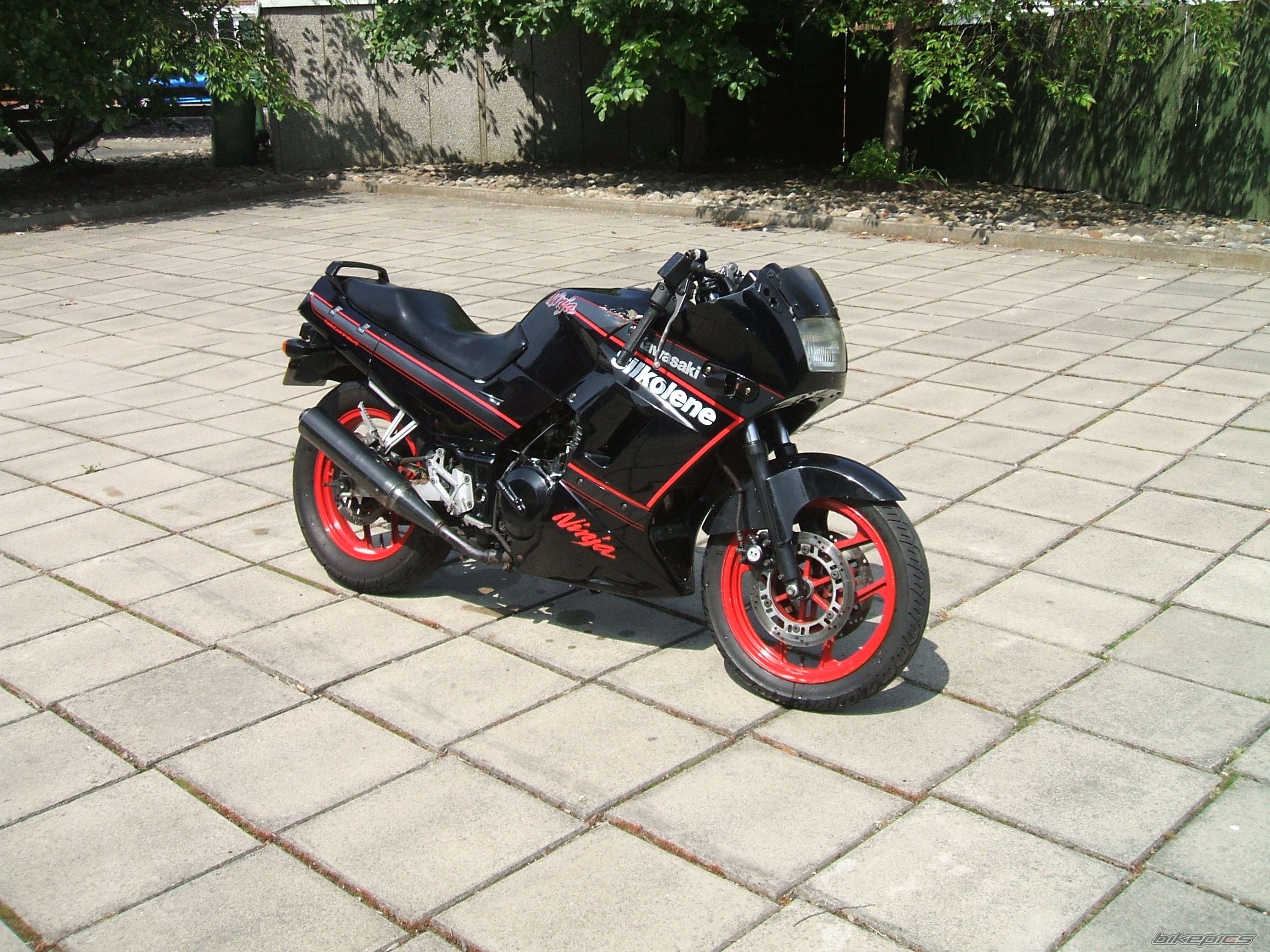 Bike Photo 929303