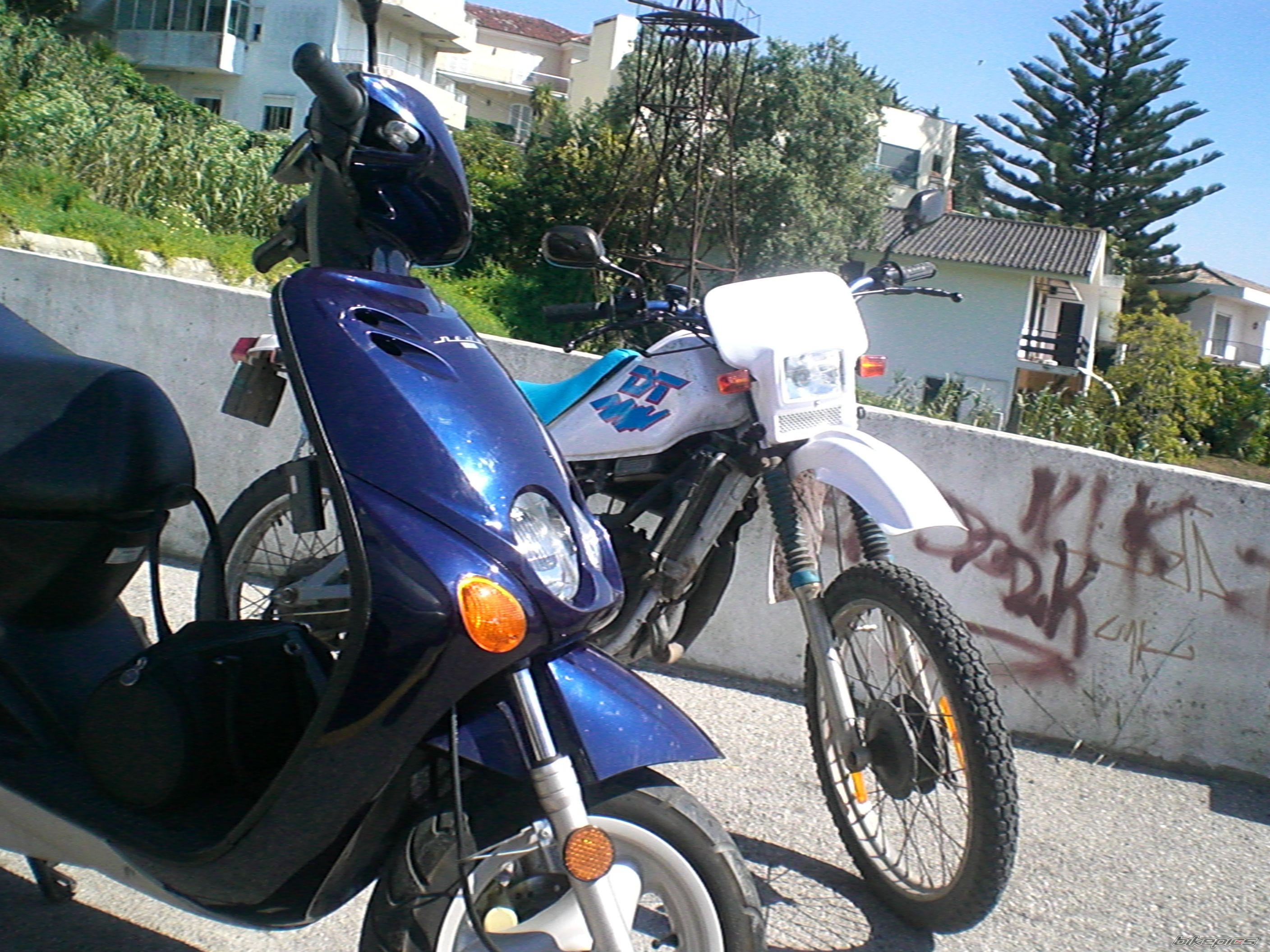 Photo 929383
