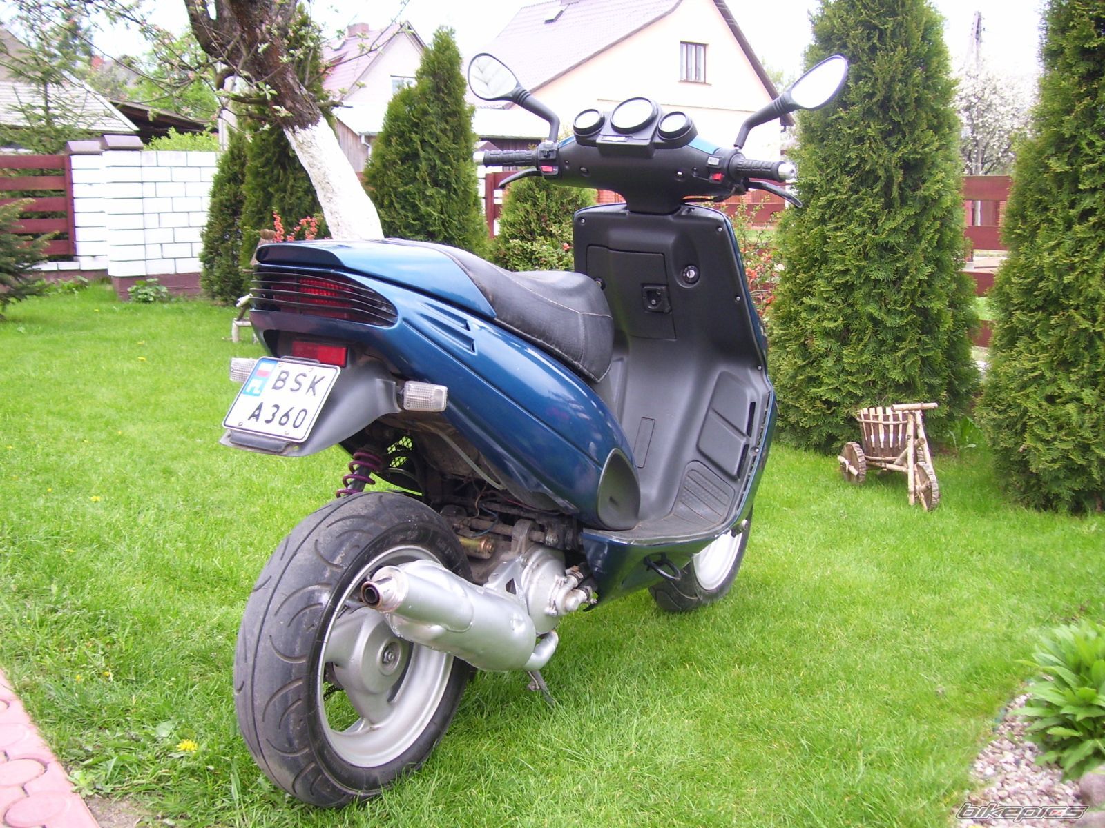 Photo 929393