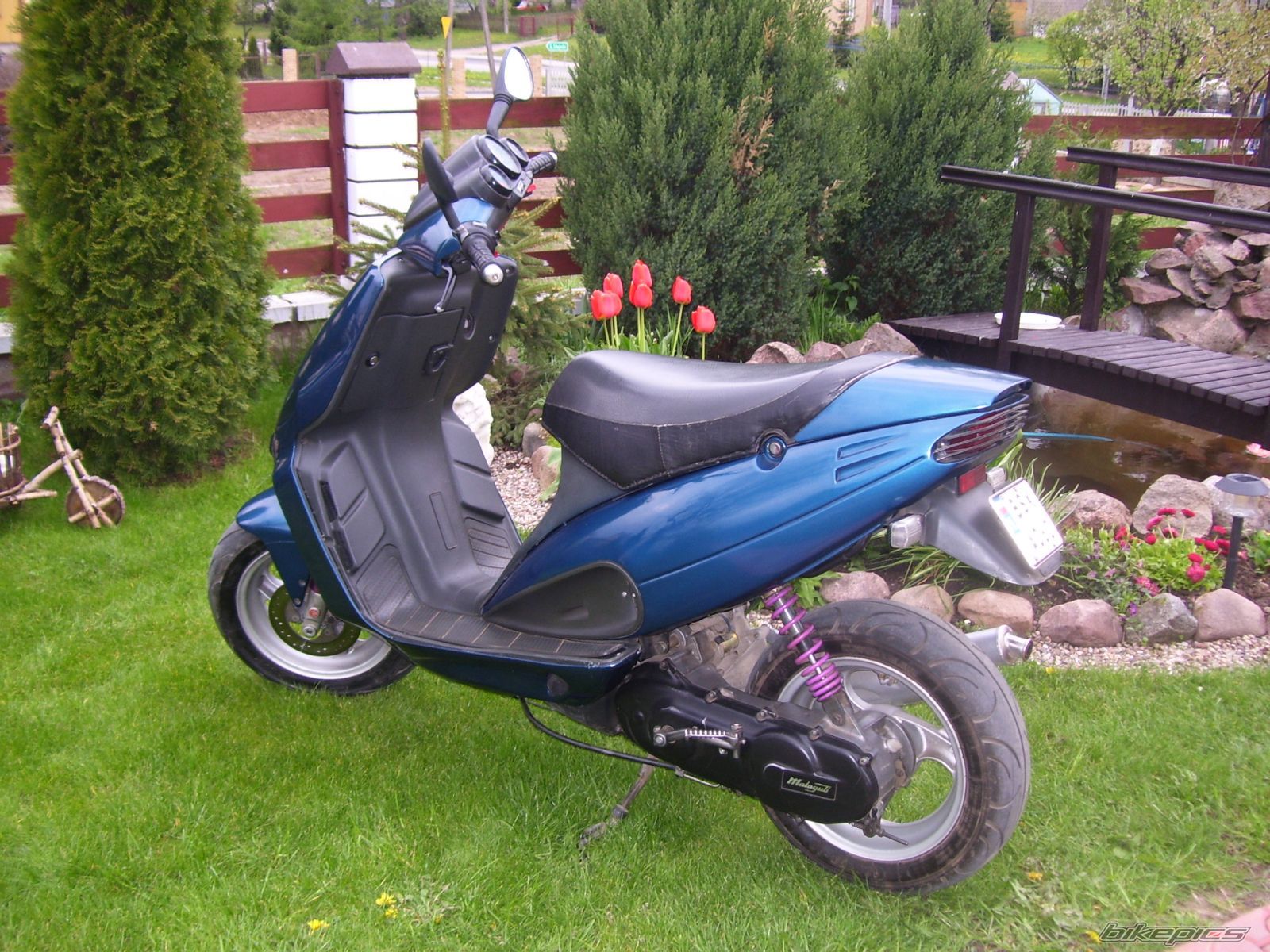Photo 929398