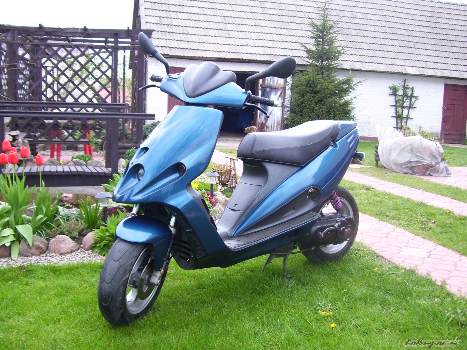 Photo 929400