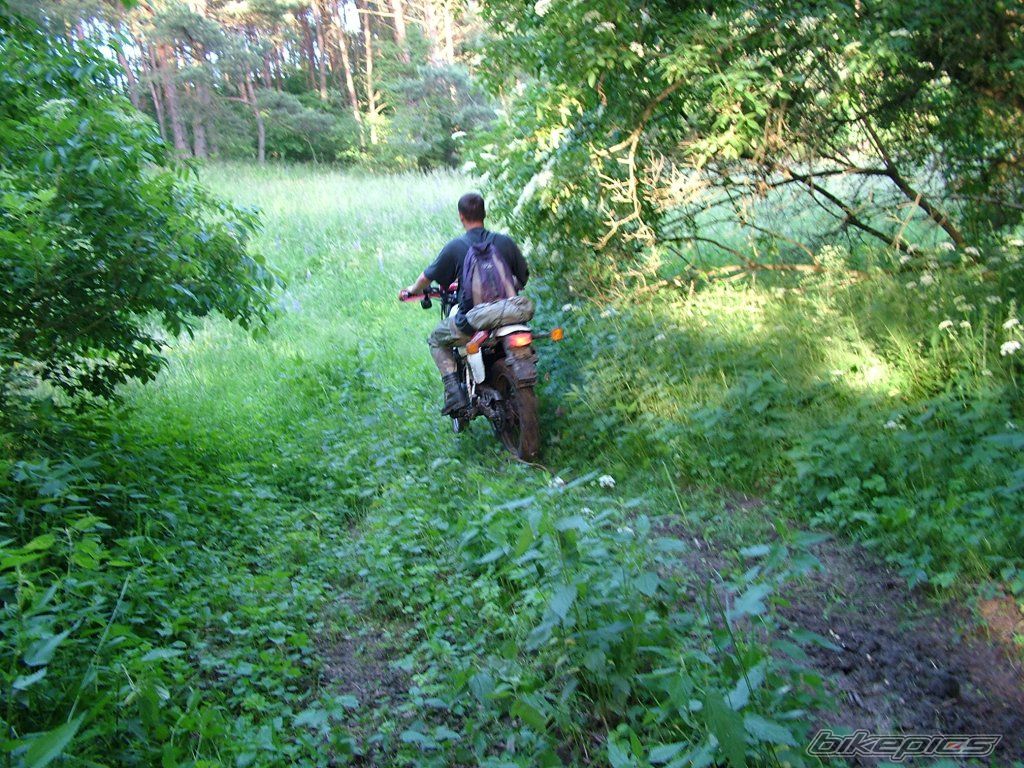 Photo 929419