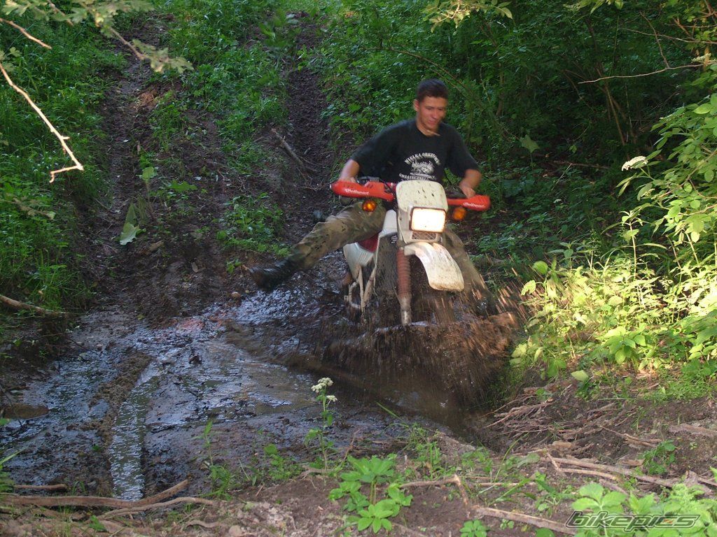 Photo 929421