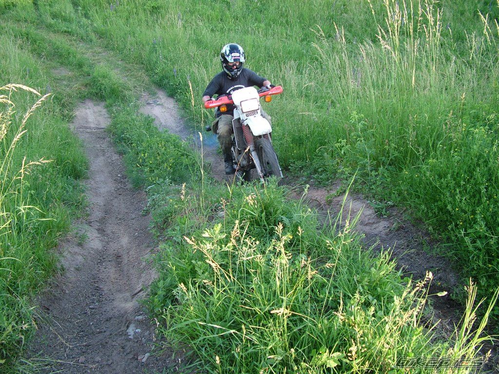 Photo 929433