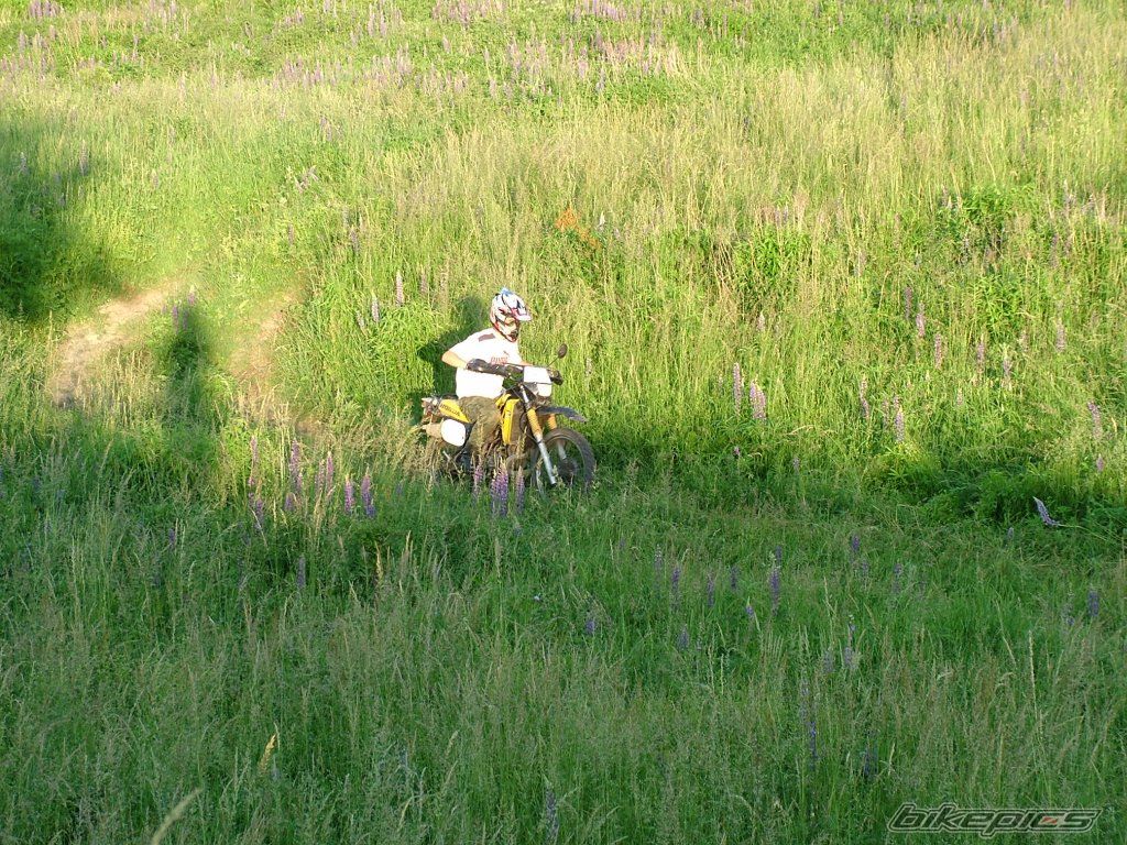 Photo 929441