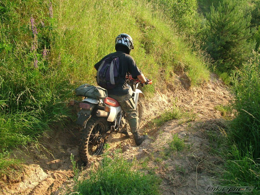 Photo 929457