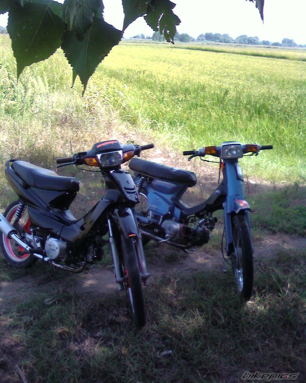 Photo 929513
