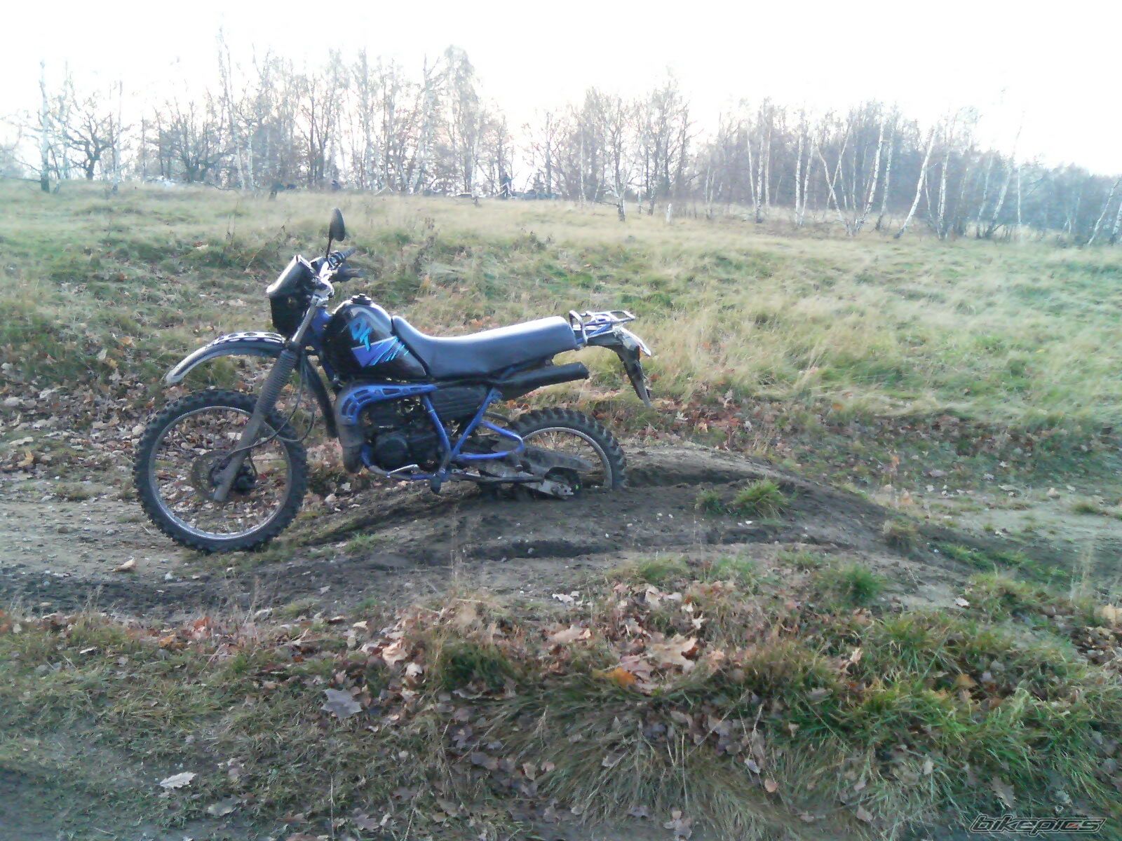 Photo 929527