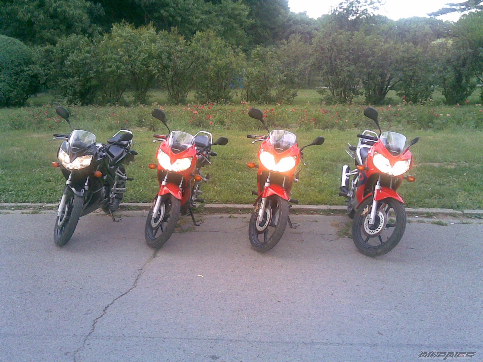 Photo 929741