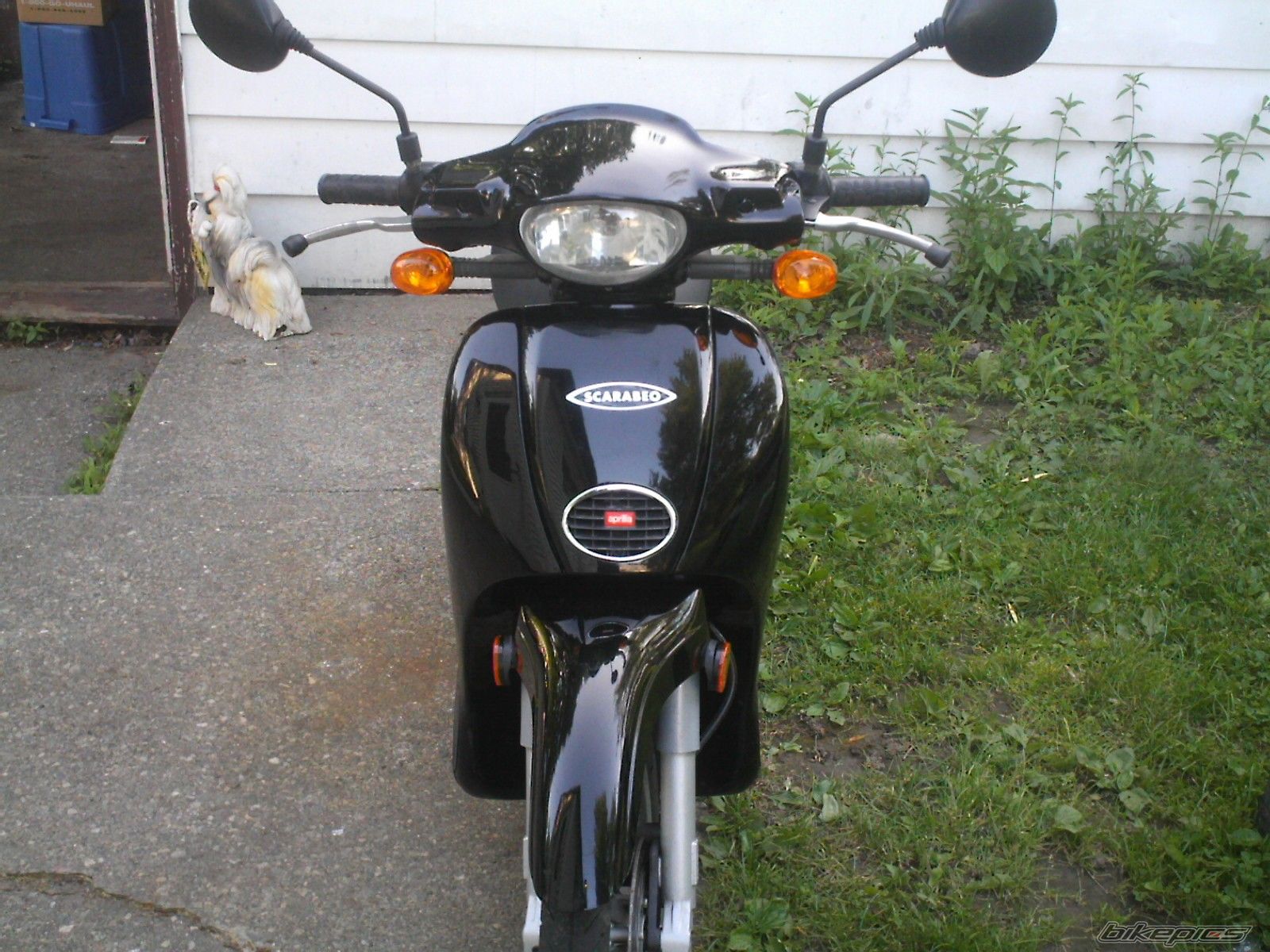 Photo 929755