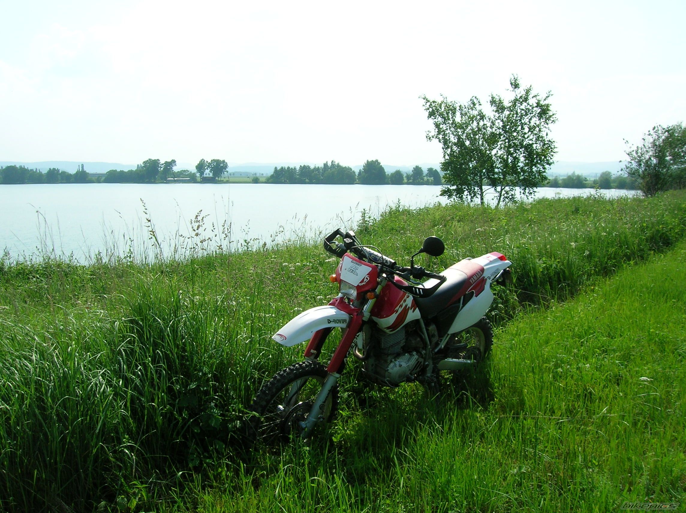 Photo 930009