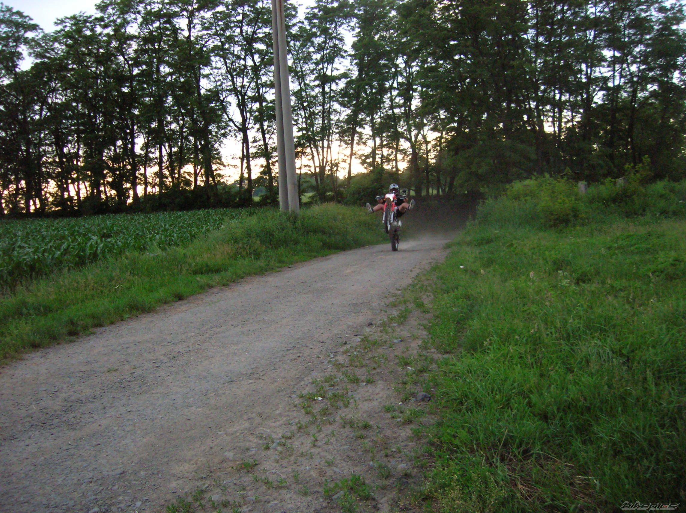 Photo 930018