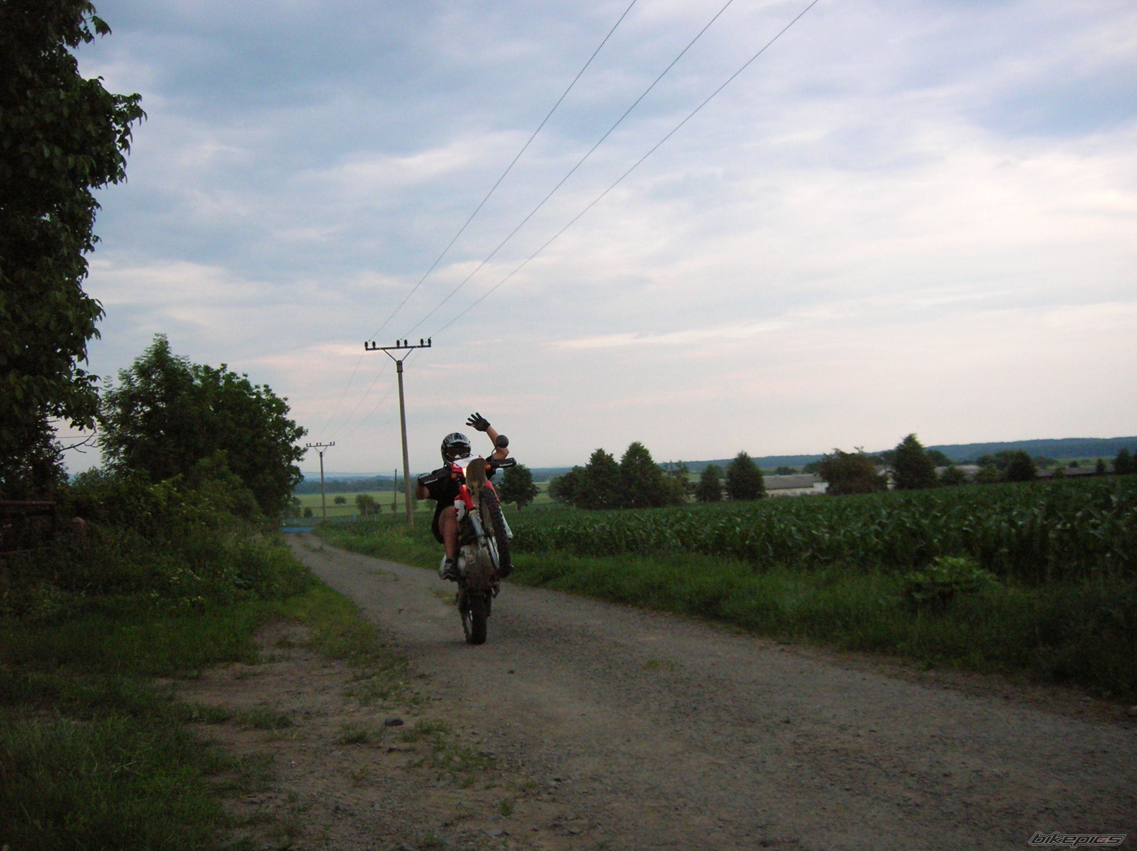 Photo 930019