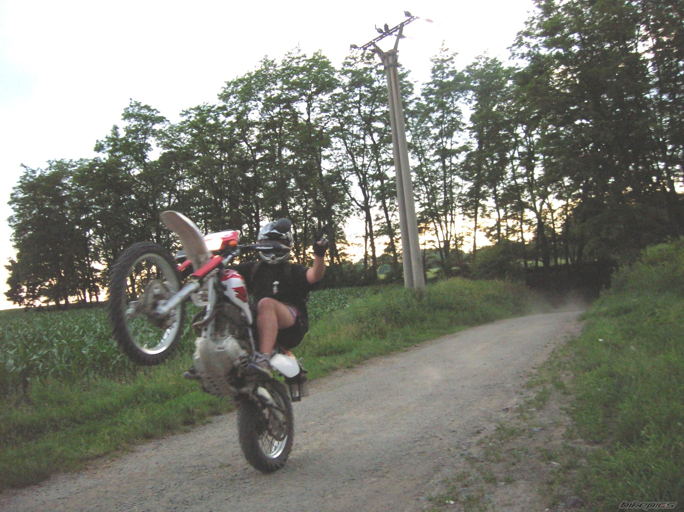 Photo 930020