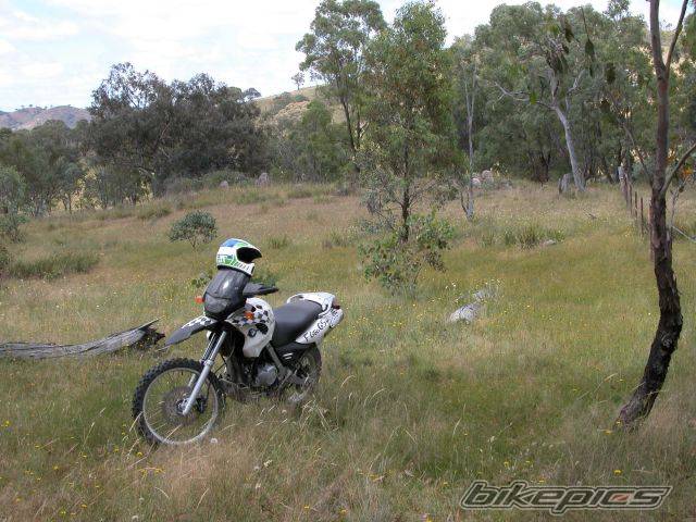 Photo 93012