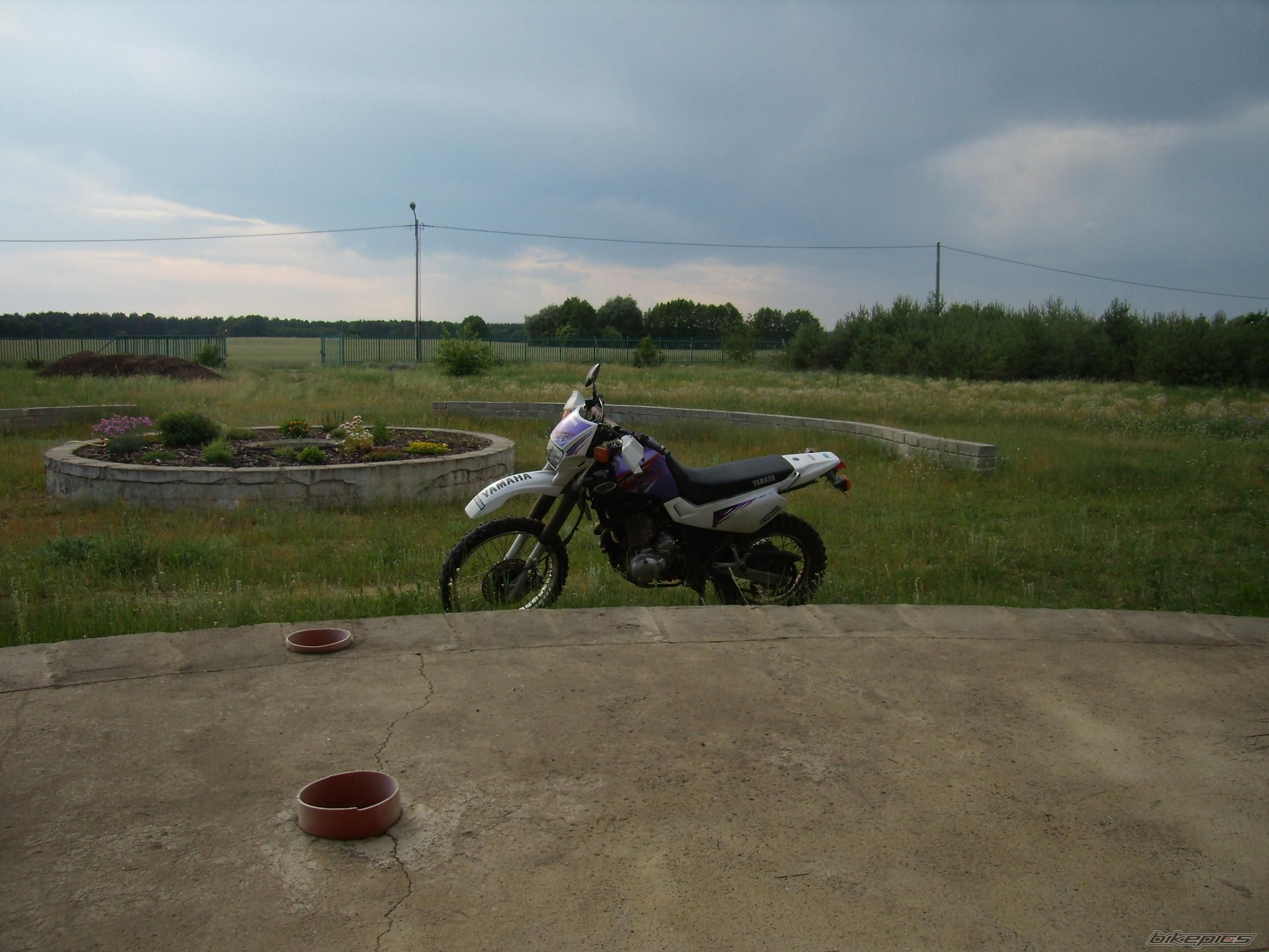 Photo 930286