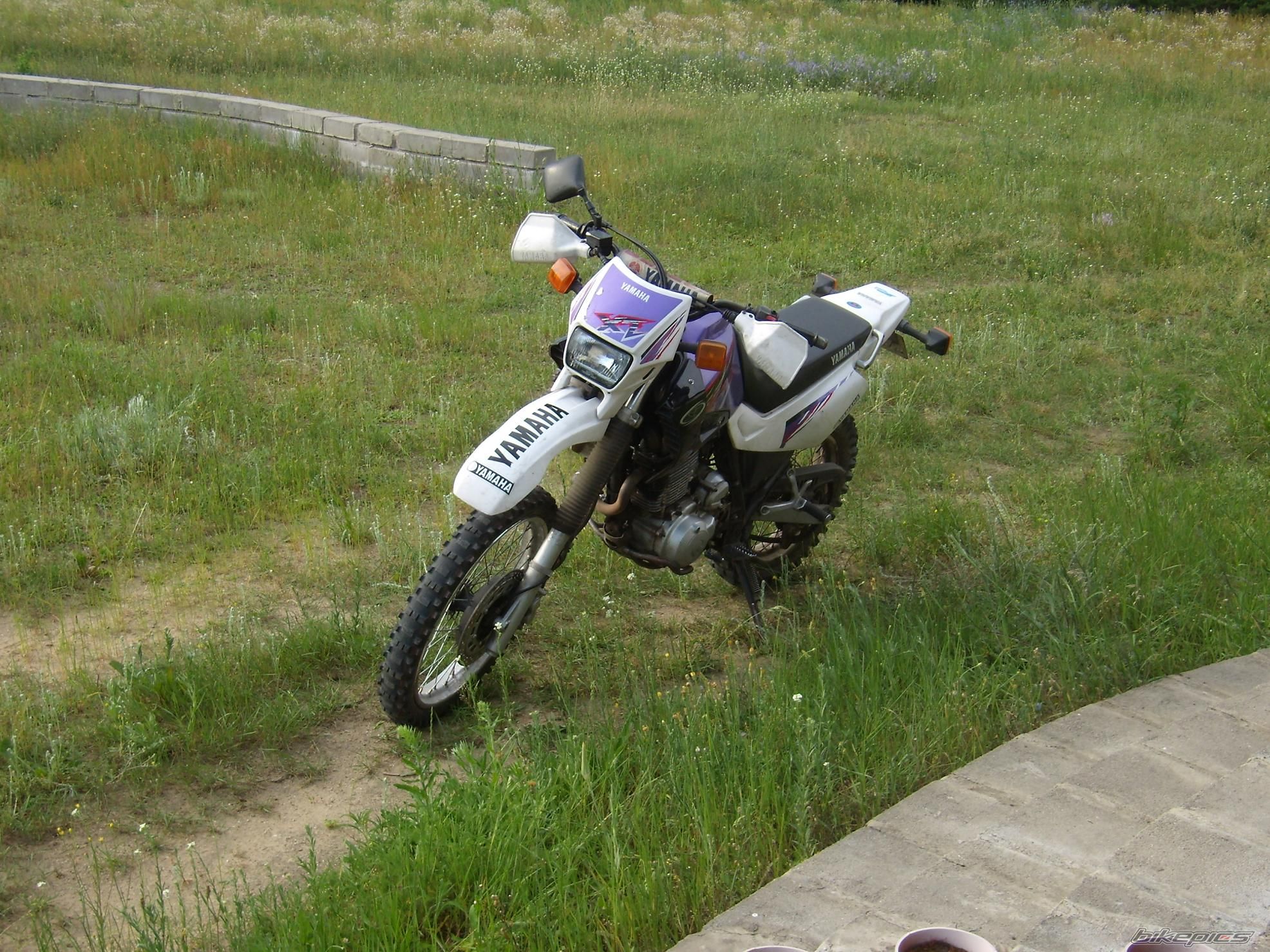 Photo 930291
