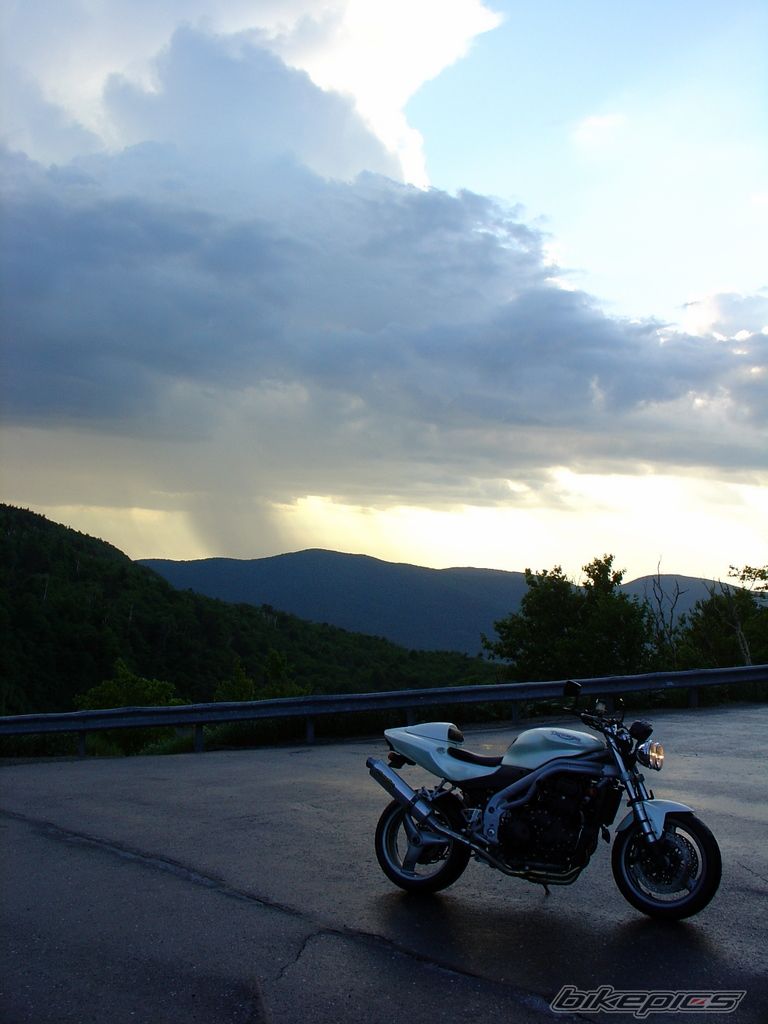 Photo 930313