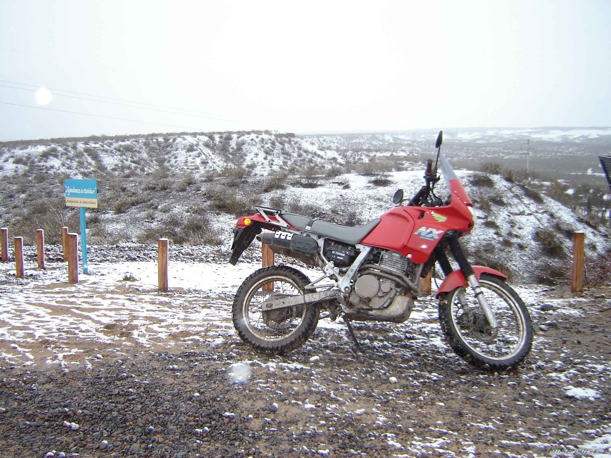 Photo 930411