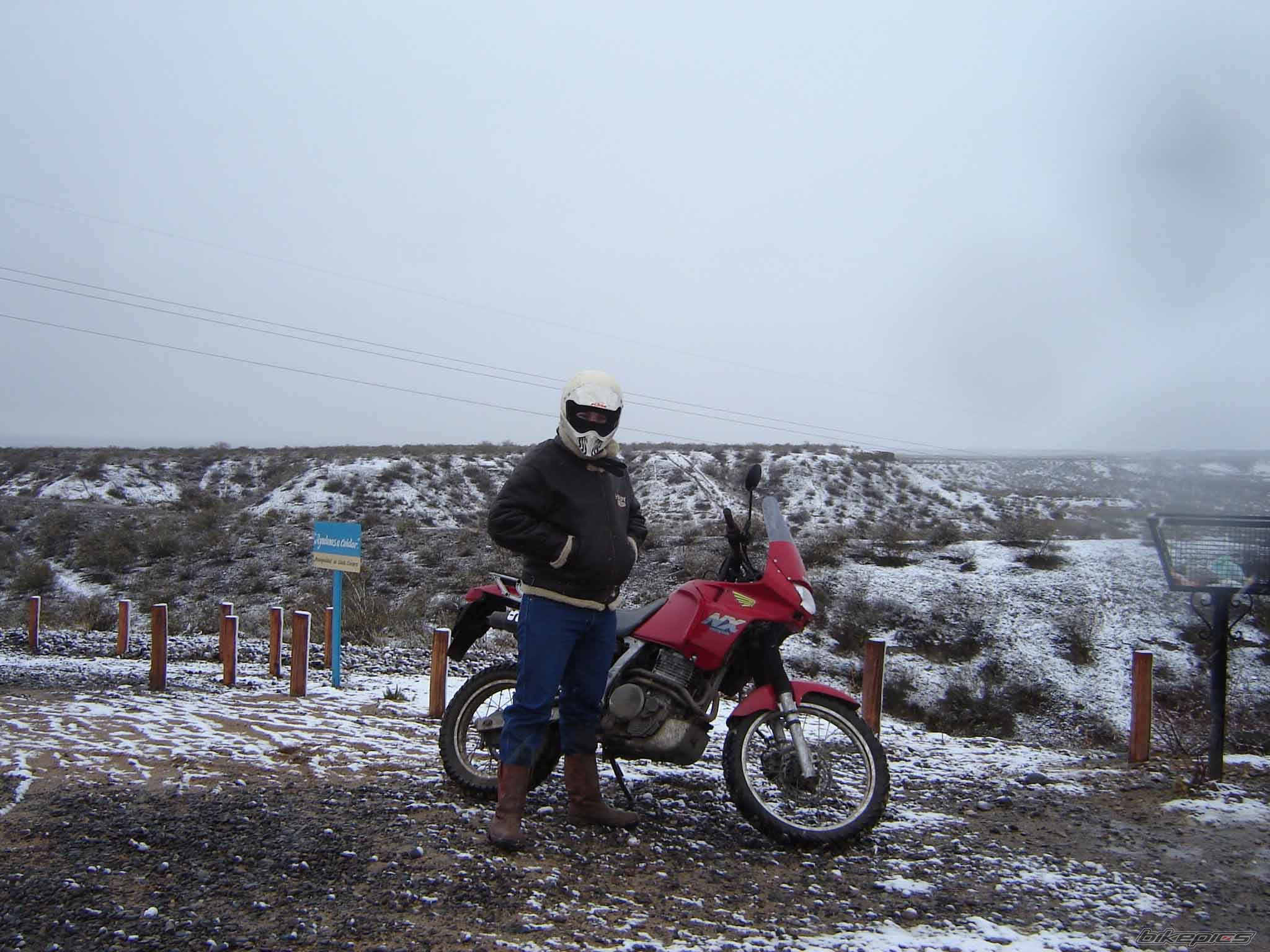 Photo 930419