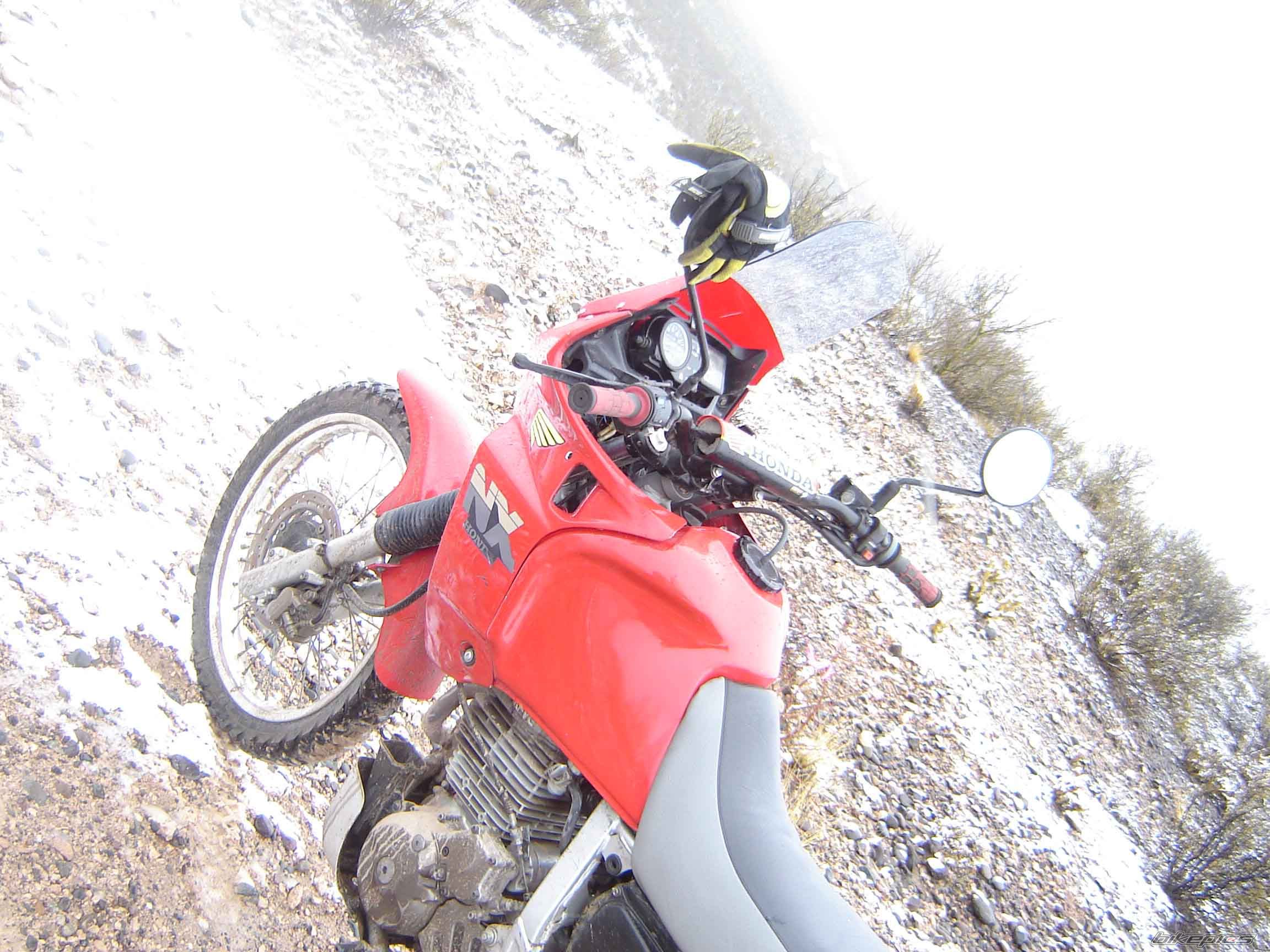 Photo 930491