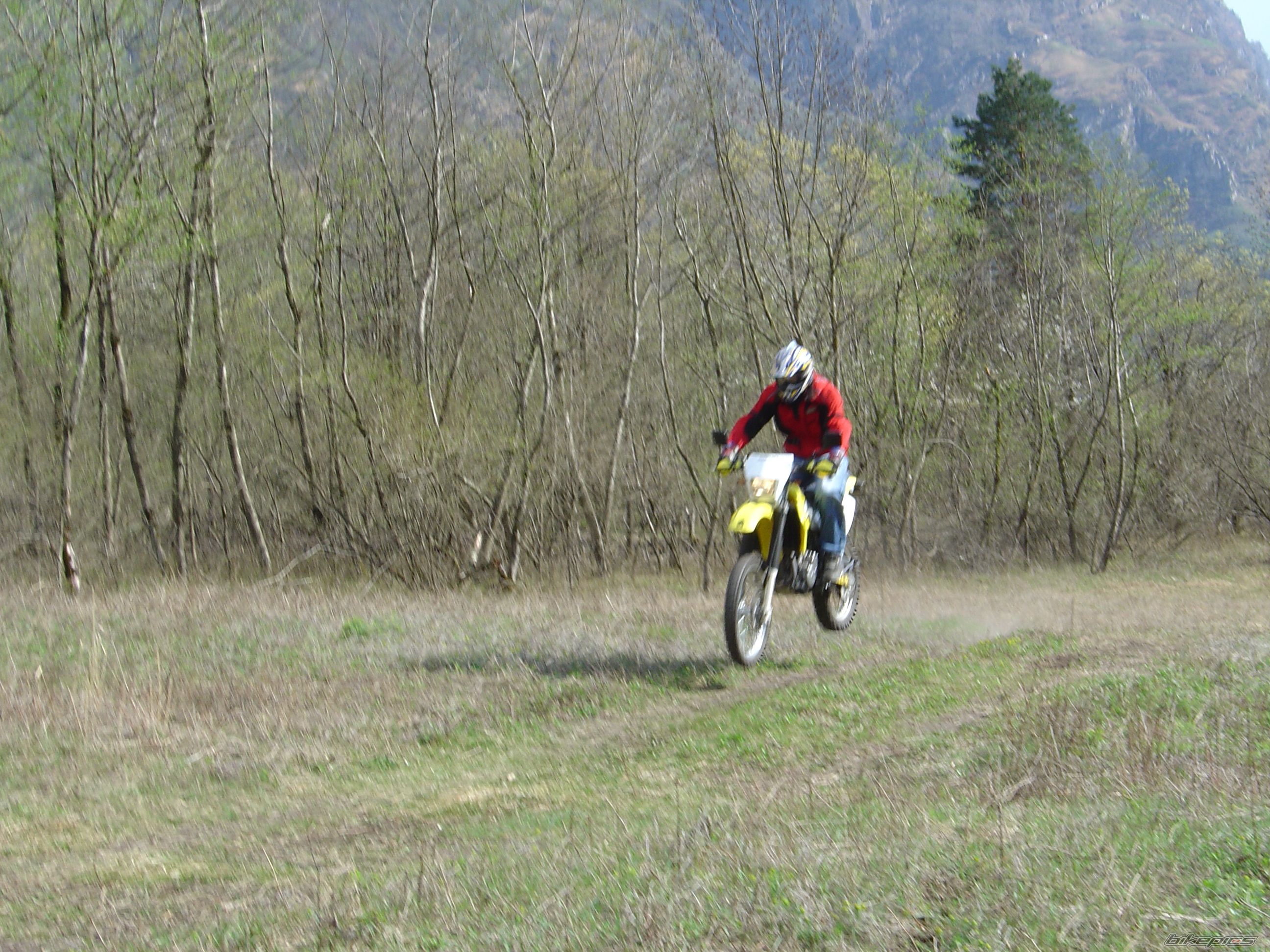 Photo 930533