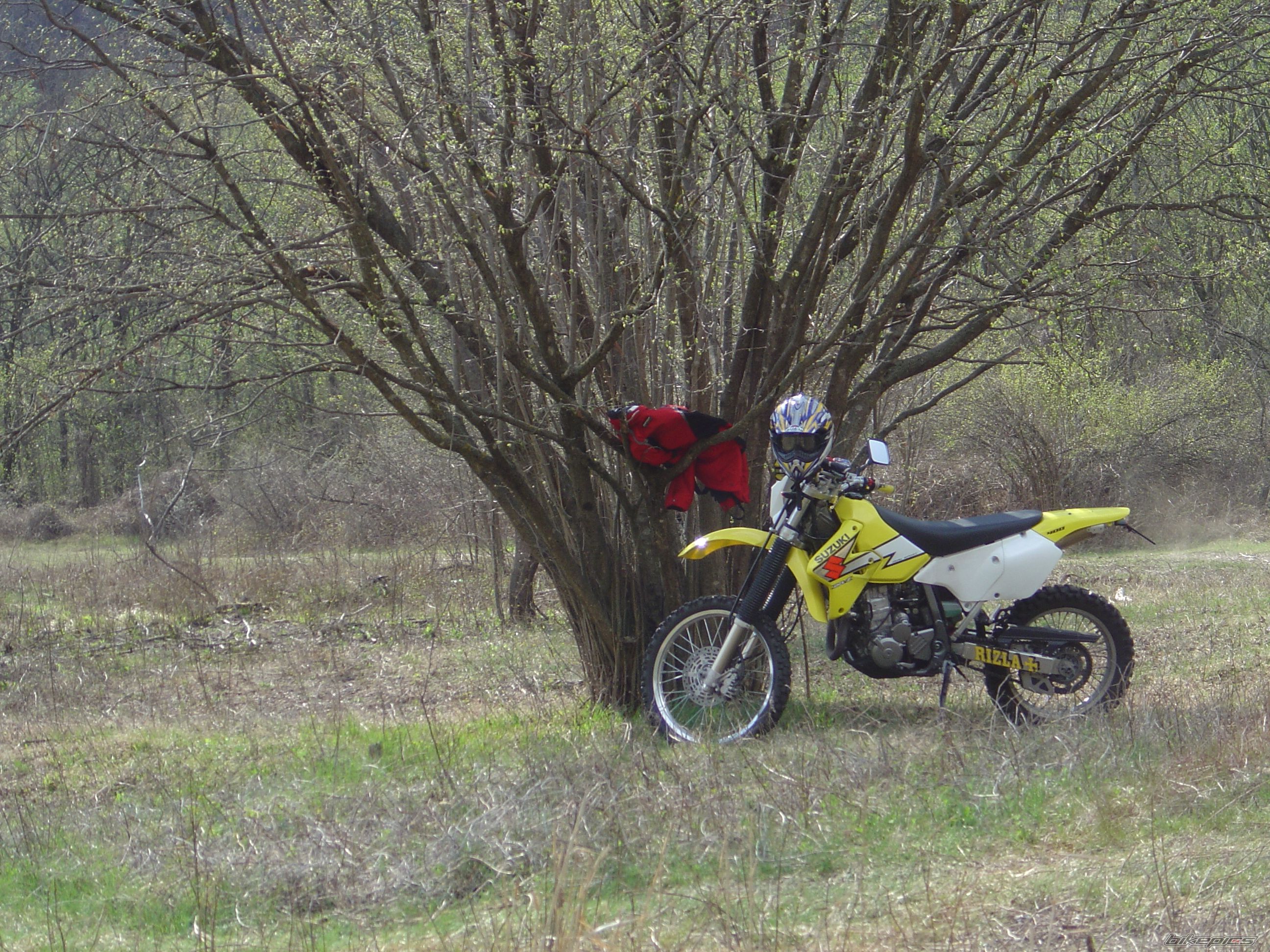 Photo 930538