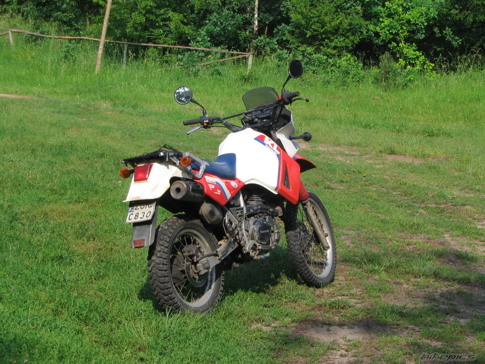 Photo 930727