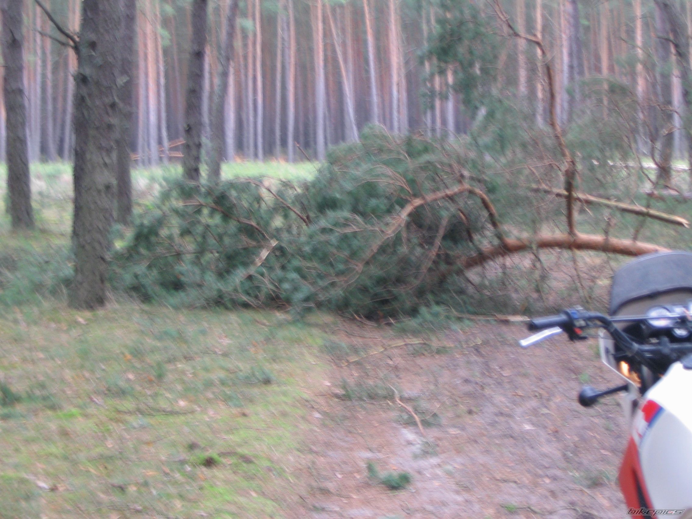 Bike Photo 930741