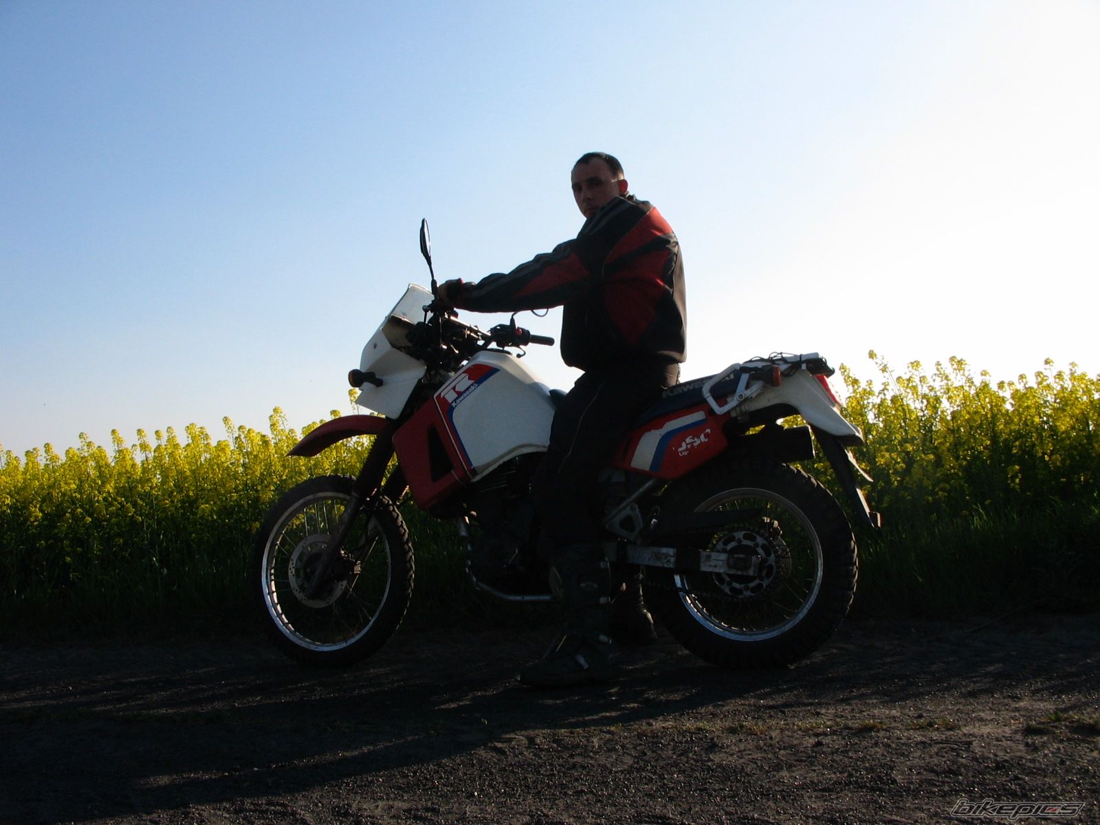 Photo 930753