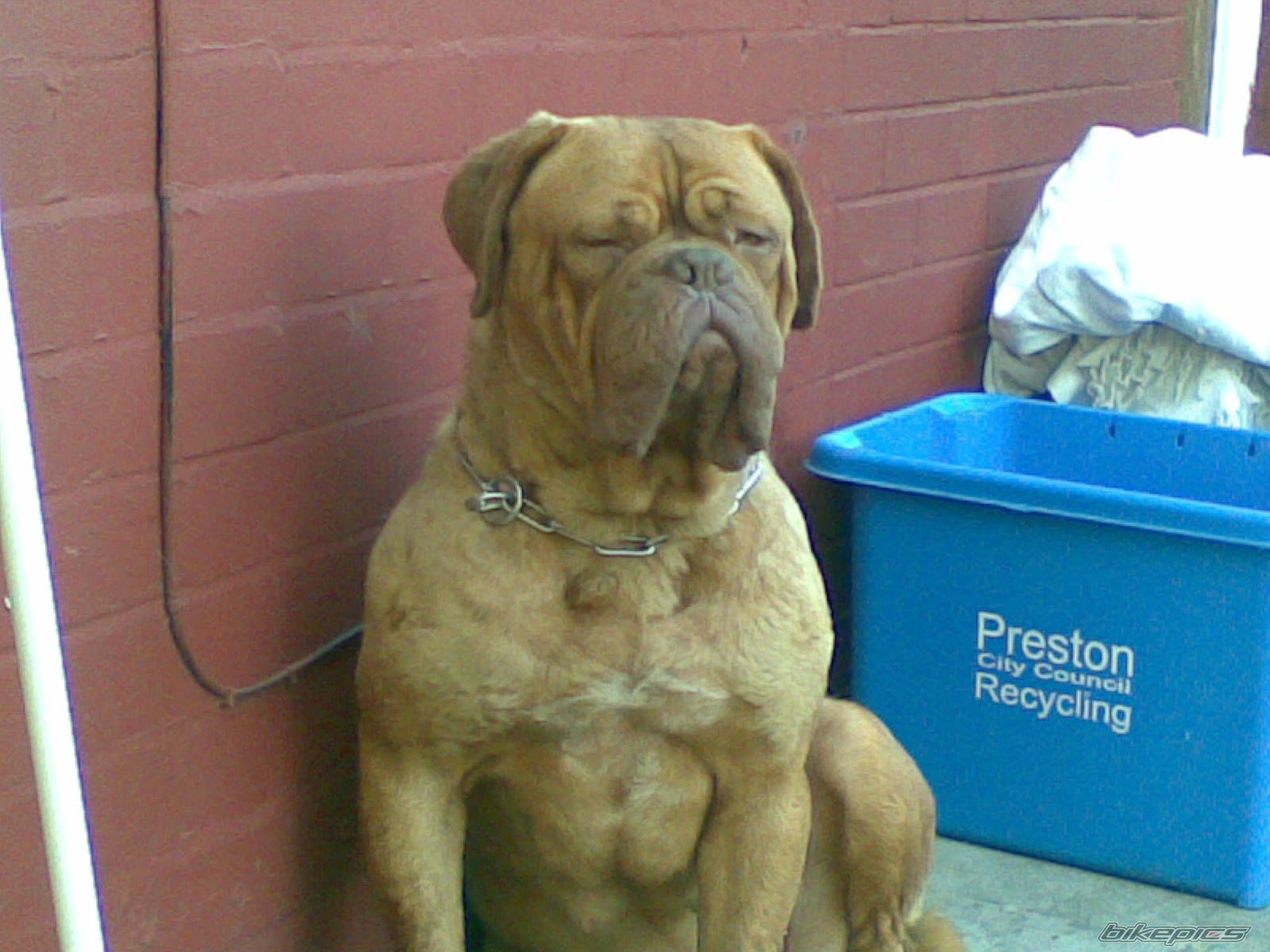 Photo 930779