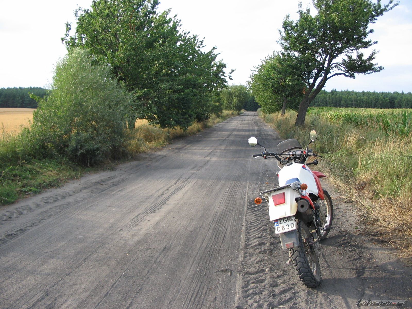 Photo 930789