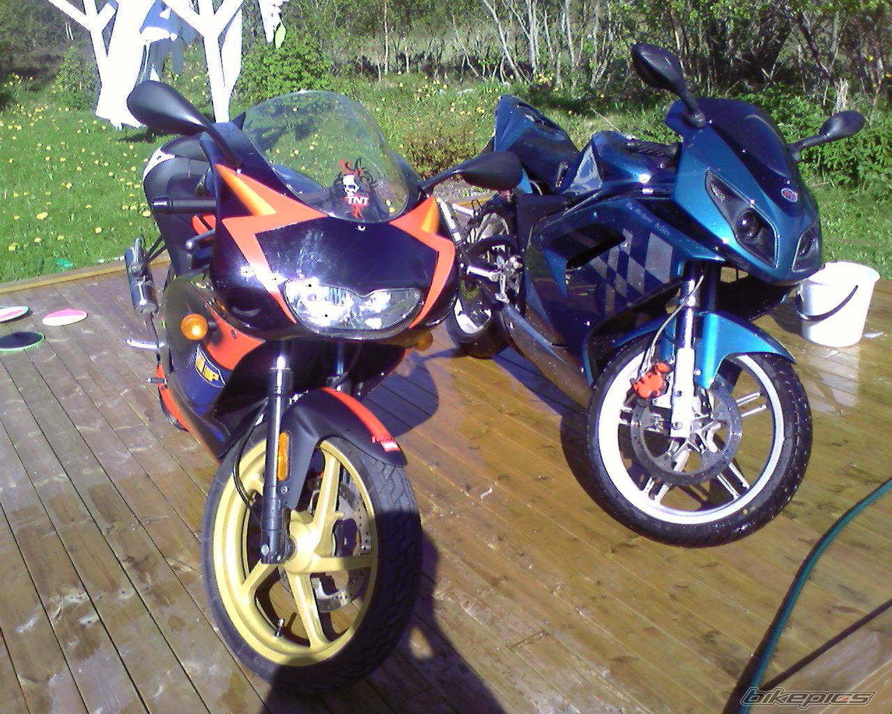 Photo 930867