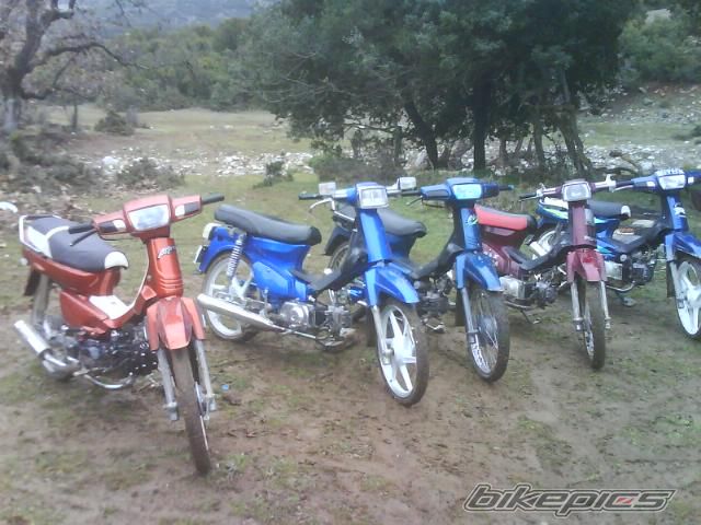 Photo 930880