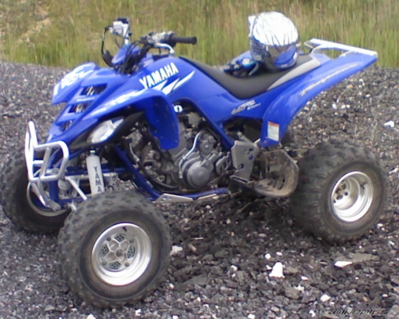 Photo 931023
