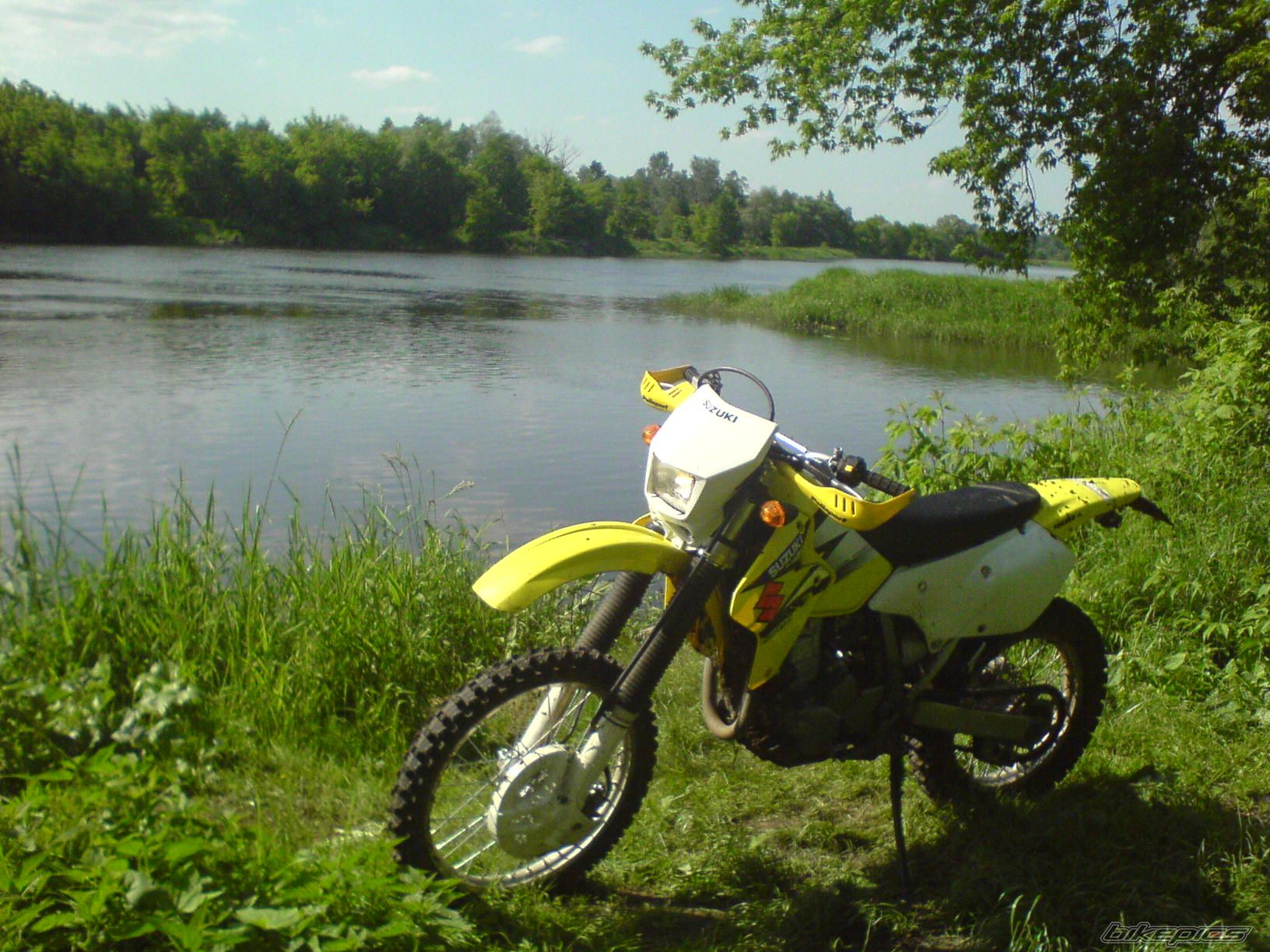 Photo 931244