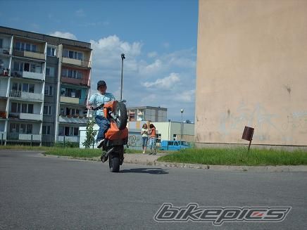Photo 931285