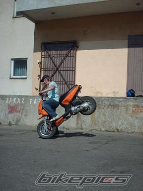 Photo 931287