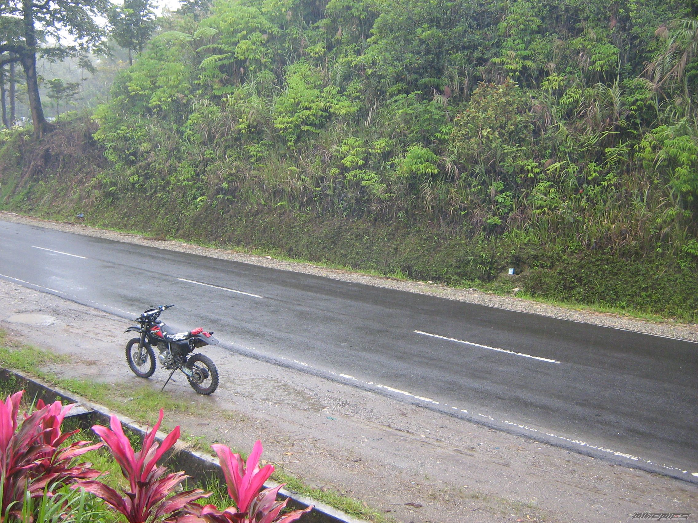 Photo 931315