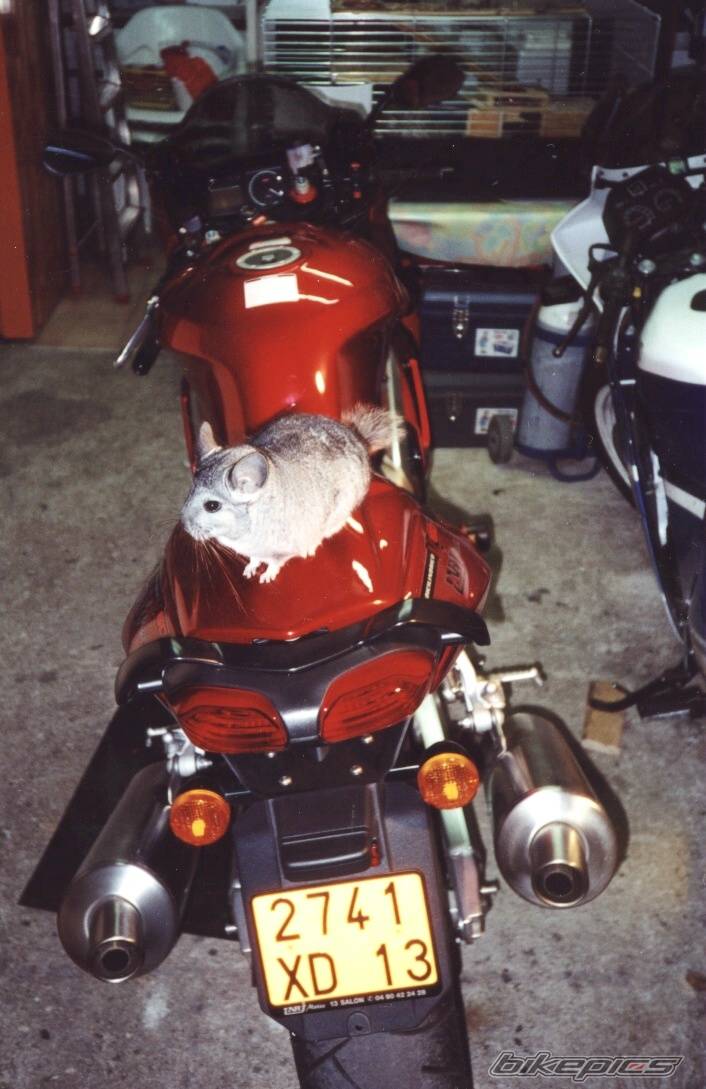 Bike Photo 93142