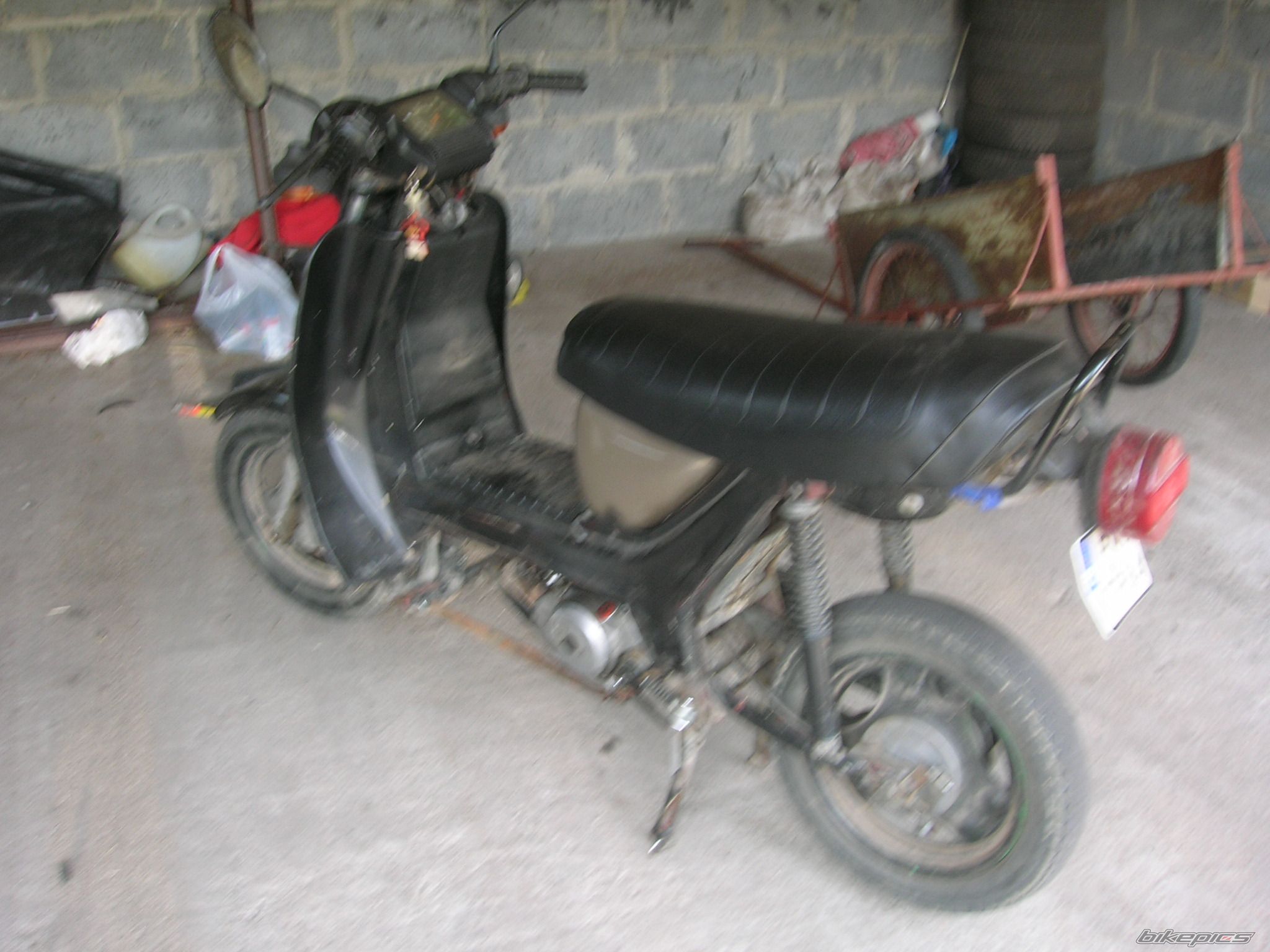 Photo 931536