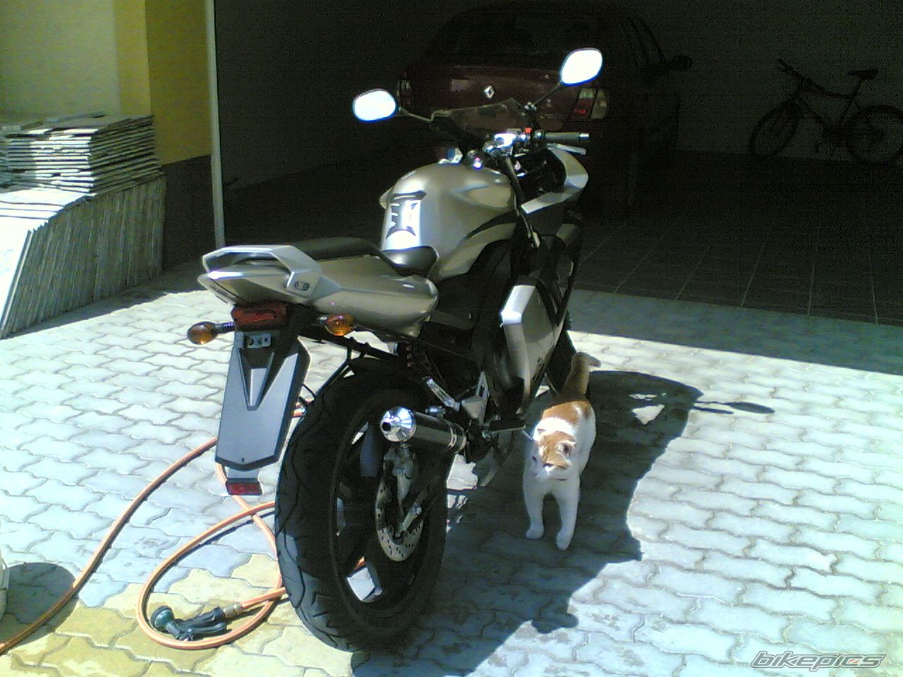 Bike Photo 931556