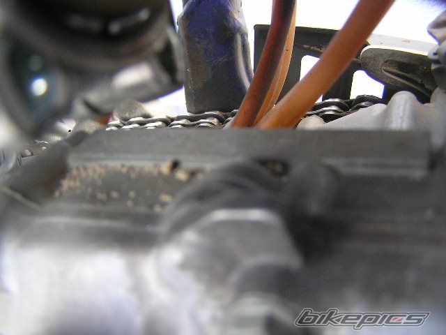 Photo 931816