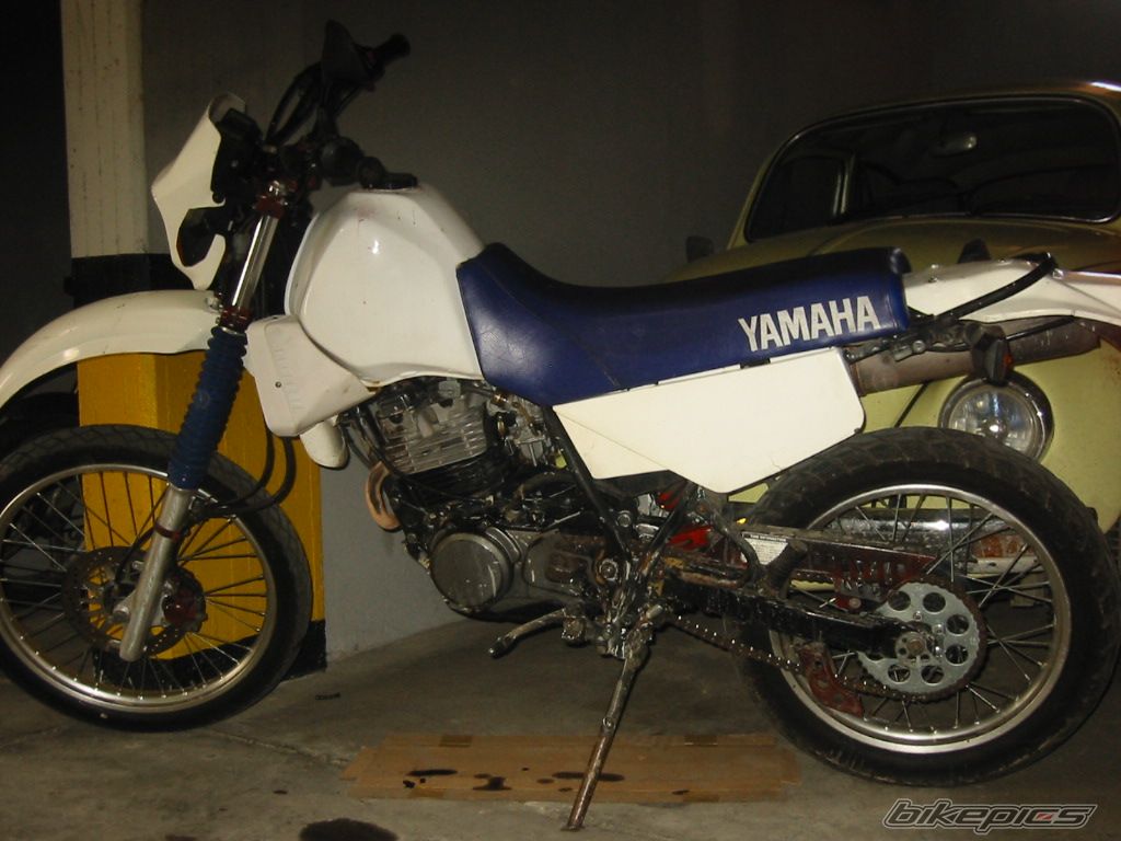 Photo 931933